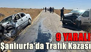 Şanlıurfa'da otomobil ve kamyonet çarpıştı