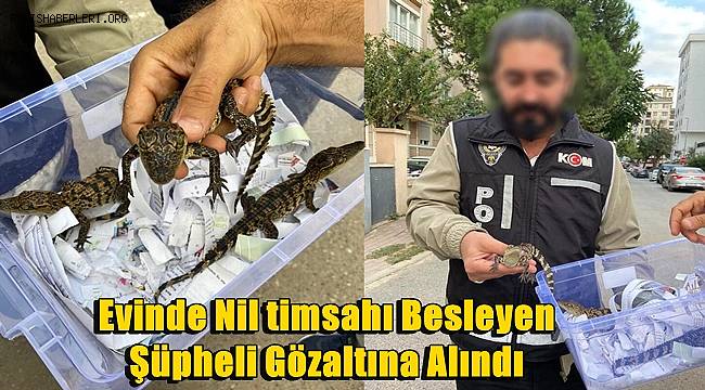 Ataşehir'de evinde Nil timsahı besleyen şüpheli gözaltına alındı 