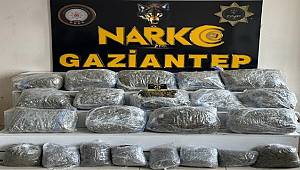 Gaziantep'te 78 Kilo 50 Gram Skunk Ele Geçirildi 