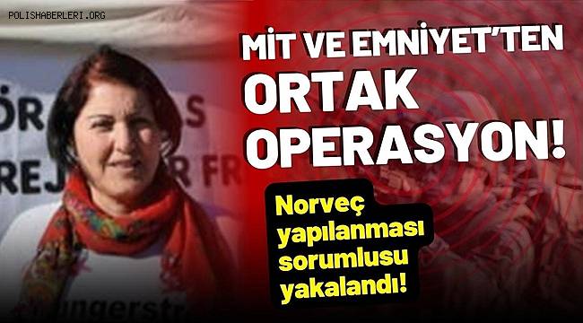 PKK/KCK'nın sözde Norveç kadın yapılanması sorumlusu İstanbul'da yakalandı 
