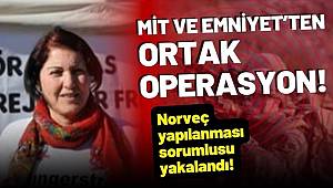 PKK/KCK'nın sözde Norveç kadın yapılanması sorumlusu İstanbul'da yakalandı 