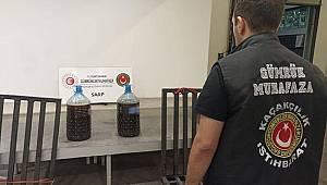 Sarp Gümrük Kapısı'nda 48 kilo kaçak kestane balı ele geçirildi