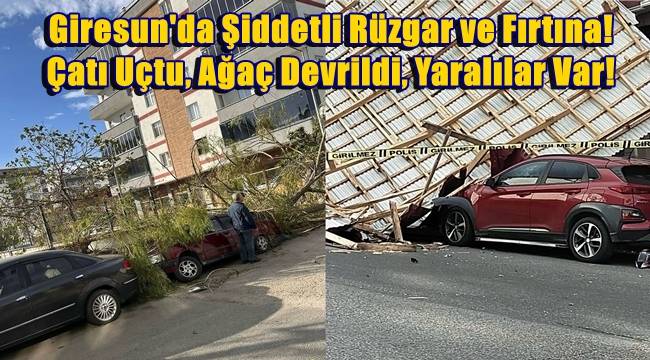 Giresun'da Şiddetli Rüzgar ve Fırtına: Çatı Uçtu, Ağaç Devrildi, Yaralılar Var! 