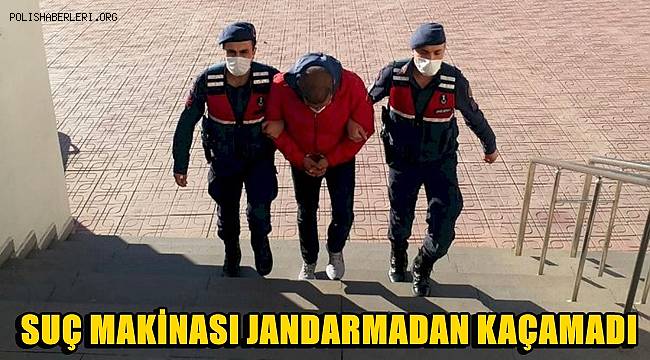 Manisa'da suç makinesi jandarmadan kaçamadı