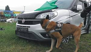 Narkotik köpeği 'Poyraz', kasımın en başarılısı 