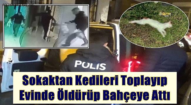 Vahşetin Adresi İzmir! Sokaktan Kedileri Toplayıp, Evinde Öldürüp Bahçeye Attı