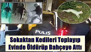 Vahşetin Adresi İzmir! Sokaktan Kedileri Toplayıp, Evinde Öldürüp Bahçeye Attı