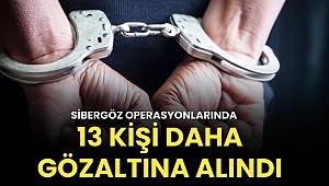 İstanbul merkezli nitelikli dolandırıcılara operasyon! 13 şüpheli gözaltına alındı