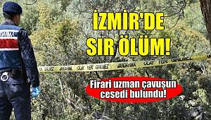 İzmir’de çoban gördüğü manzara karşısında telefona sarıldı!