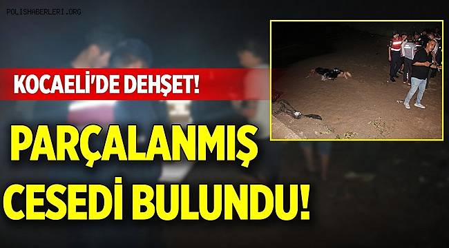 Gece saati denize girdi, cesedi 4 saat sonra parçalanmış halde bulundu