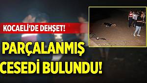 Gece saati denize girdi, cesedi 4 saat sonra parçalanmış halde bulundu
