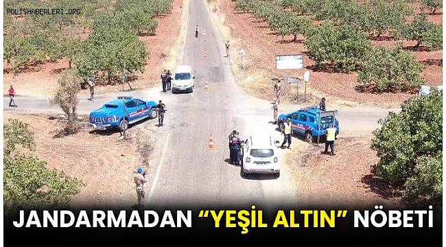 Jandarmadan Gaziantep’te “Yeşil Altın” Nöbeti 