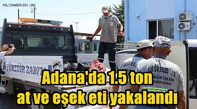 1.5 ton at ve eşek eti yakalatan şahıs: Akrabalarıma dağıtacaktım 