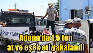 1.5 ton at ve eşek eti yakalatan şahıs: Akrabalarıma dağıtacaktım 