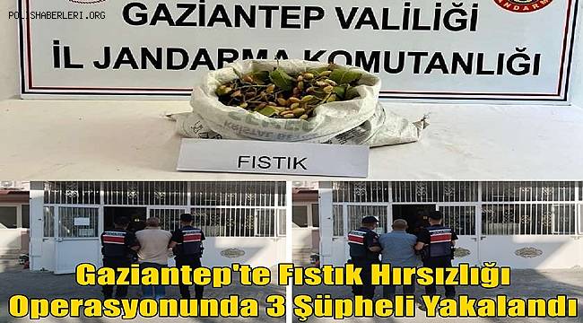 Gaziantep'te Fıstık Hırsızlığı Operasyonunda 3 Şüpheli Yakalandı 