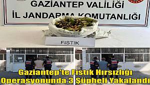 Gaziantep'te Fıstık Hırsızlığı Operasyonunda 3 Şüpheli Yakalandı 