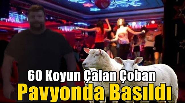 Koyunları çalan çoban, pavyonda eğlenirken yakalandı 