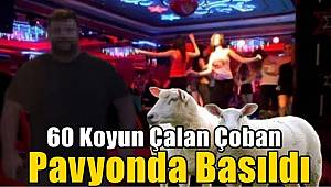 Koyunları çalan çoban, pavyonda eğlenirken yakalandı 