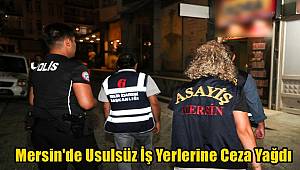 Mersin'de Usulsüz İş Yerlerine Ceza Yağdı