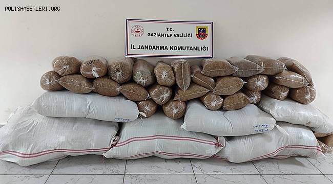 Gaziantep'te Kaçakçılık Operasyonunda 11 Şüpheli Yakalandı 