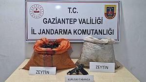 Zeytin Hırsızı Suçüstü Yakalandı 