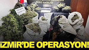 Hayvan damında uyuşturucu yetiştirip ticaretini yapmışlar! 