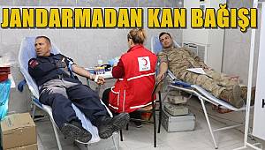 Gaziantep Jandarma Personeli Kan Bağışladı