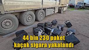 Osmaniye’de 44 bin 230 paket kaçak sigara yakalandı 