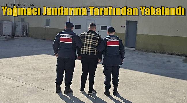 Yağmacı Jandarma Tarafından Yakalandı 