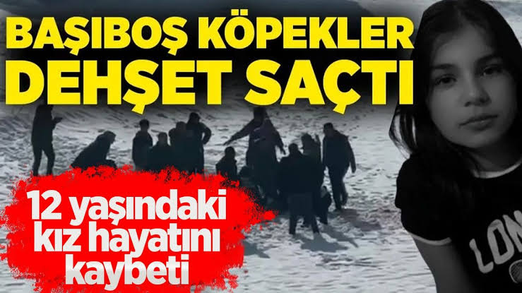 Yüksekova’da köpeklerin saldırısı sonucu ölen 12 yaşındaki Eslem toprağa verildi 