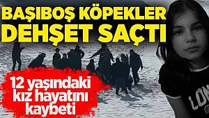 Yüksekova’da köpeklerin saldırısı sonucu ölen 12 yaşındaki Eslem toprağa verildi 