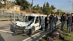 Gaziantep'te Sivil Polis Aracına At Çarptı 