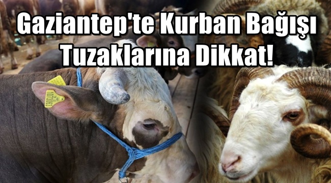 Gaziantep'te Kurban Bağışı Tuzaklarına Dikkat! 