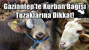 Gaziantep'te Kurban Bağışı Tuzaklarına Dikkat! 