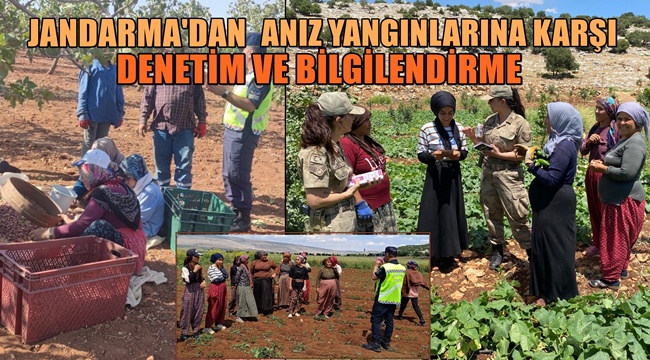 Gaziantep'te Anız Yangınlarına Karşı Jandarma Denetimi 