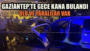 Gaziantep'te Gece Kana Bulandı! 