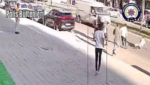 Midyat’ta kavgada yere düşen kişiye minibüs çarptı! 