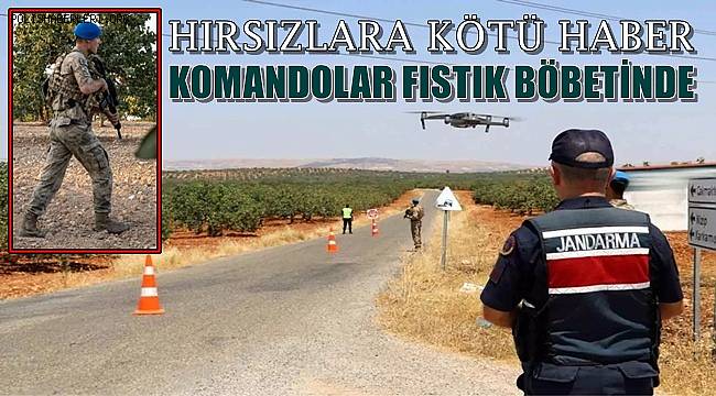 Gaziantep'te Komandolar Fıstık Nöbetinde