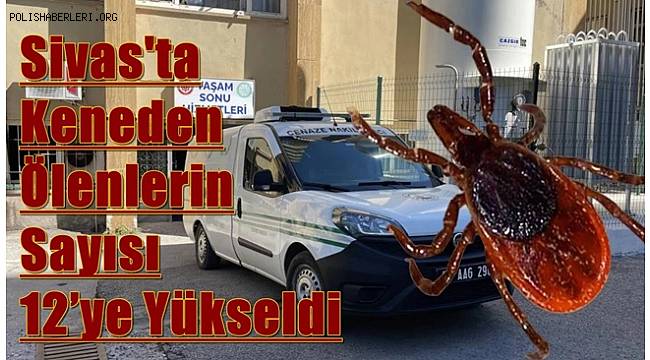 Kene kabusu devam ediyor, Sivas’ta keneden ölenlerin sayısı 12’ye yükseldi 