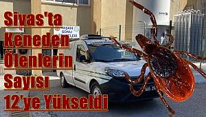 Kene kabusu devam ediyor, Sivas’ta keneden ölenlerin sayısı 12’ye yükseldi 