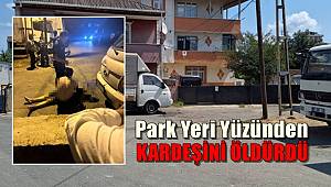 Park yeri yüzünden tartıştığı kardeşini öldürdü 