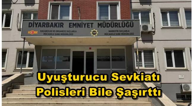 Ölü koyunun karnından uyuşturucu çıktı!