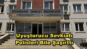 Ölü koyunun karnından uyuşturucu çıktı!