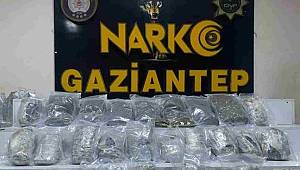 Gaziantep’te 13 kilo skunk ele geçirildi 