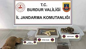 Burdur’da Şok Operasyon! Evden Yılanlar, Tarantula, Pitbul, Kertenkele Gibi Hayvanlar Çıktı 