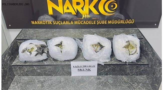 Şırnak'ta 6 kilo 200 gram skunk ele geçirildi 