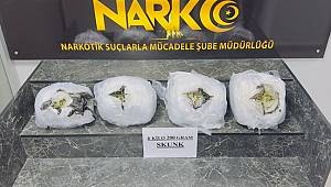 Şırnak'ta 6 kilo 200 gram skunk ele geçirildi 