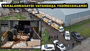 Şanlıurfa'da 50 ton bozuk tavuk eti ele geçirildi 