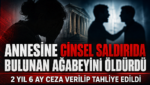 Annesine cinsel saldırıda bulunan ağabeyini öldürdü, 2 yıl ceza verilip tahliye edildi