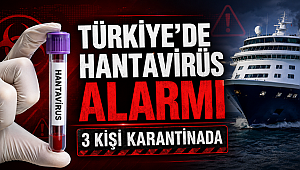 Hantavirüs alarmı! Üç Türk vatandaşı, İstanbul'daki evlerinde karantinaya alındı